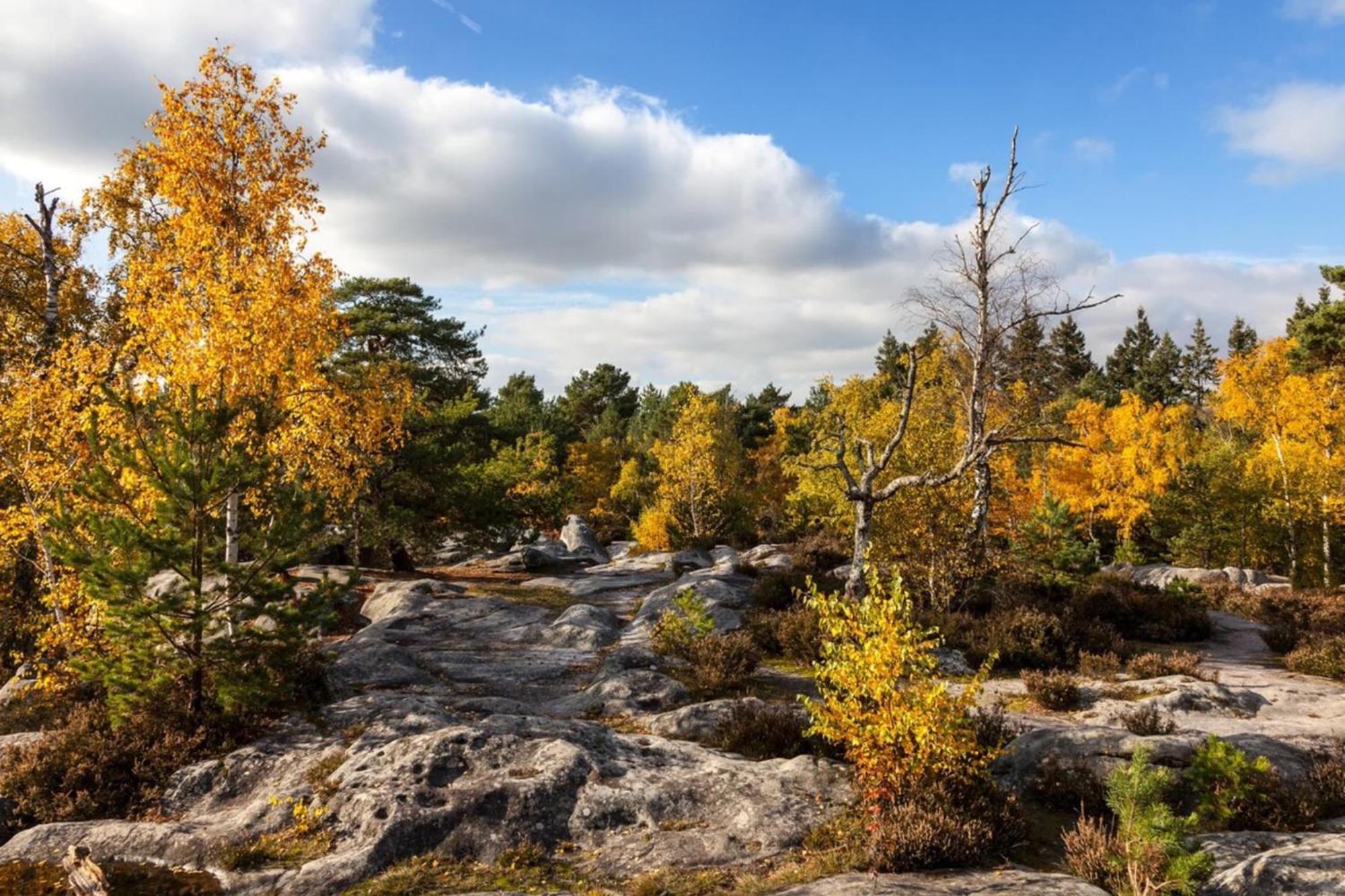 Cosy Fontainebleau 아파트 외부 사진
